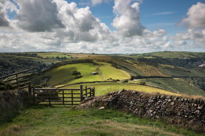 Enchanting Exmoor Photography Workshop