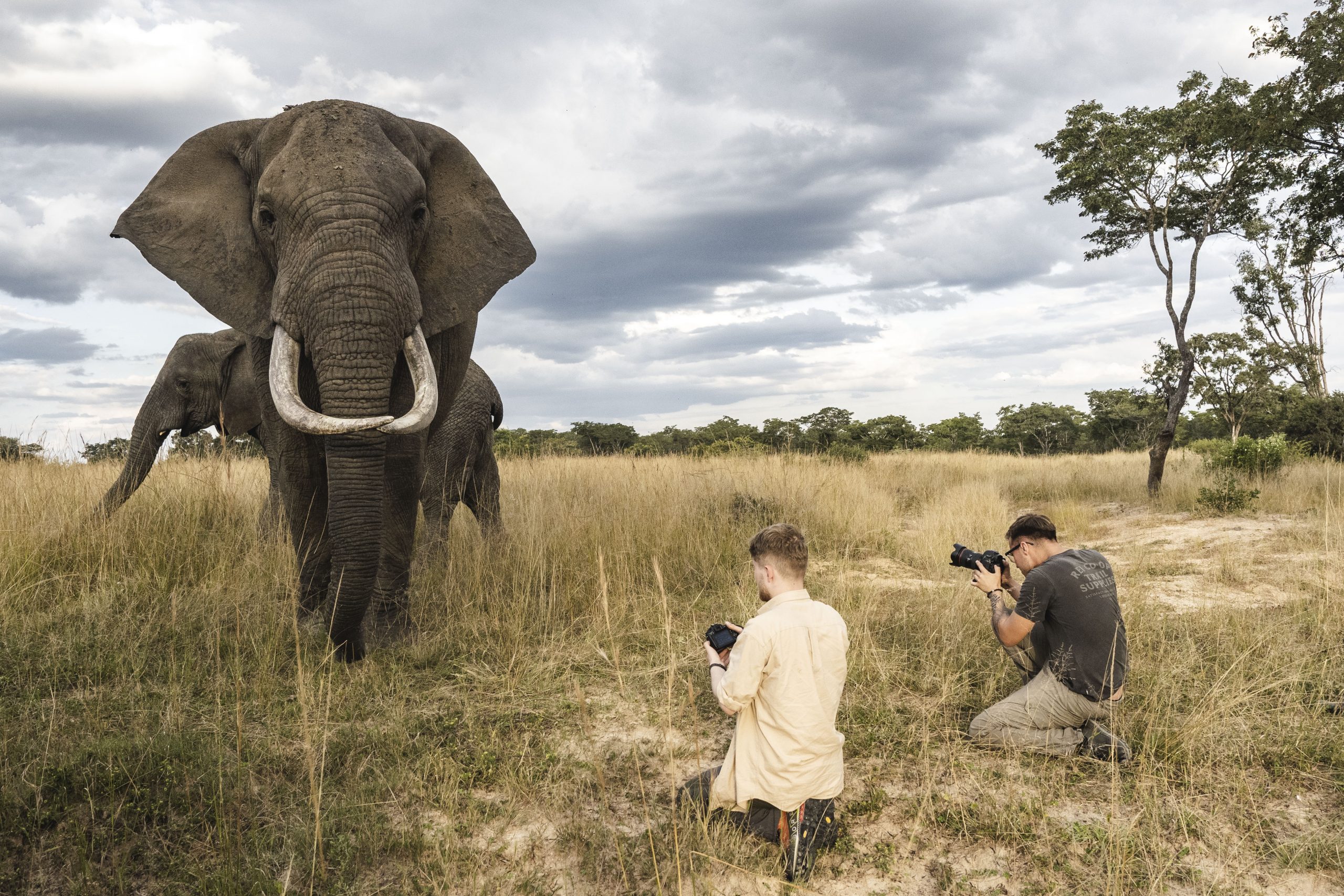 Zimbabwe Wildlife Photography Tour