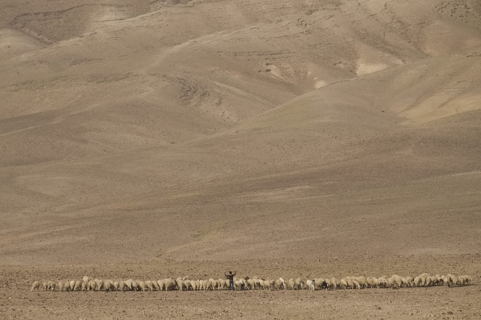 israel photography tour photo workshop negev desert landscape scaled