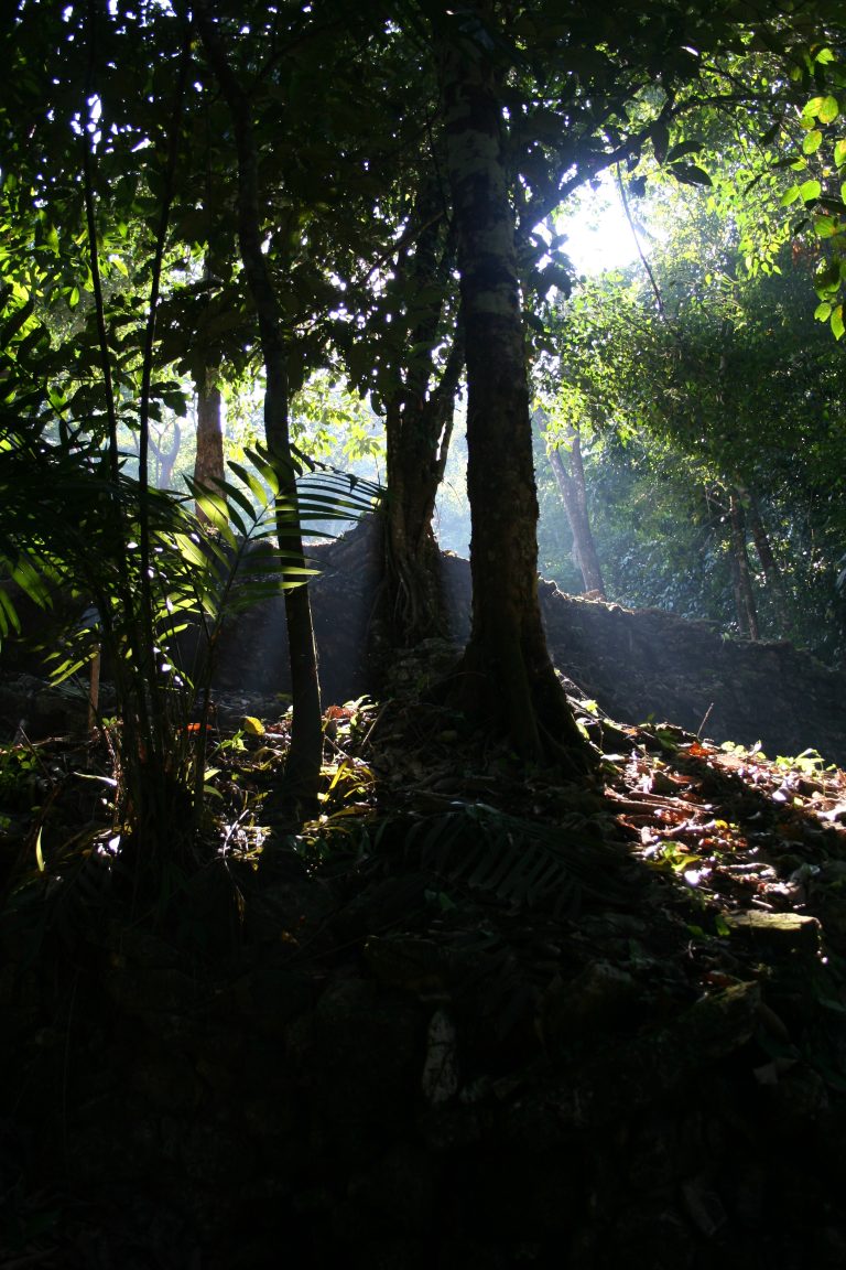 shafts of light