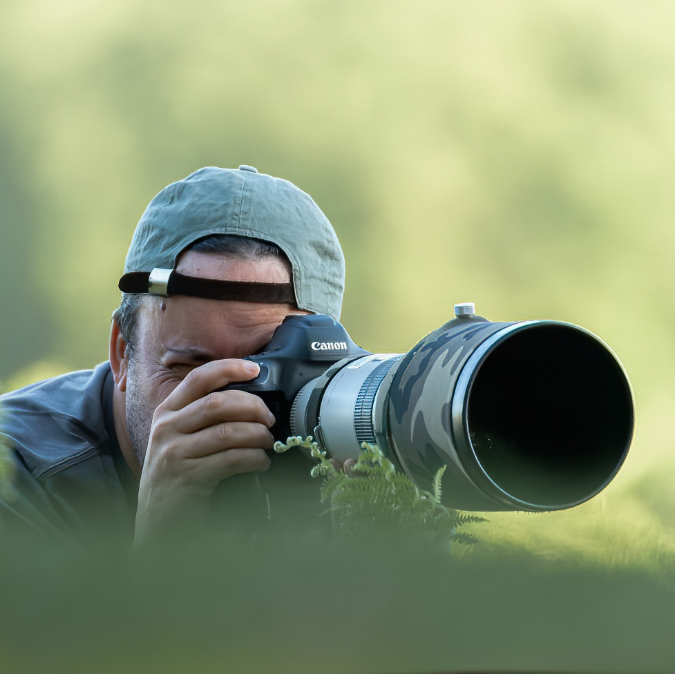 Victor Soares - Wildlife Photographer