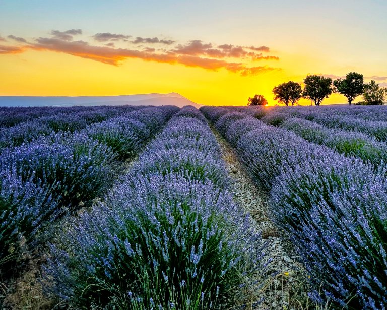 Montburn Les Bains, France ©Raina Stinson