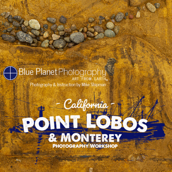 Monterey & Point Lobos, June 25-30, 2026