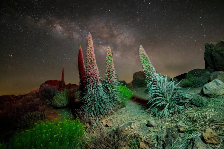 Astrophotography workshops in Tenerife