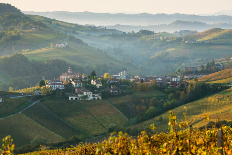 Exclusive Photography Workshop & Curated Tour, Barolo, Piedmont, Italy