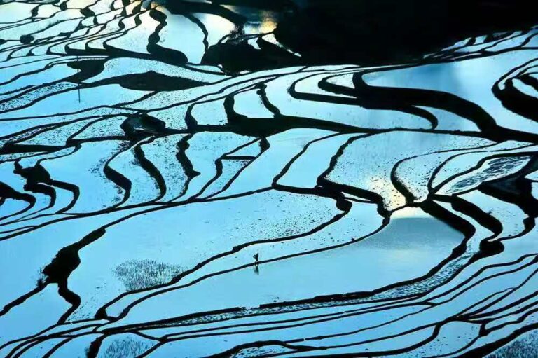 Yuanyang Rice Terraces