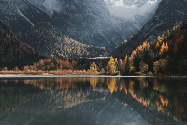 ?attachment_id=15704