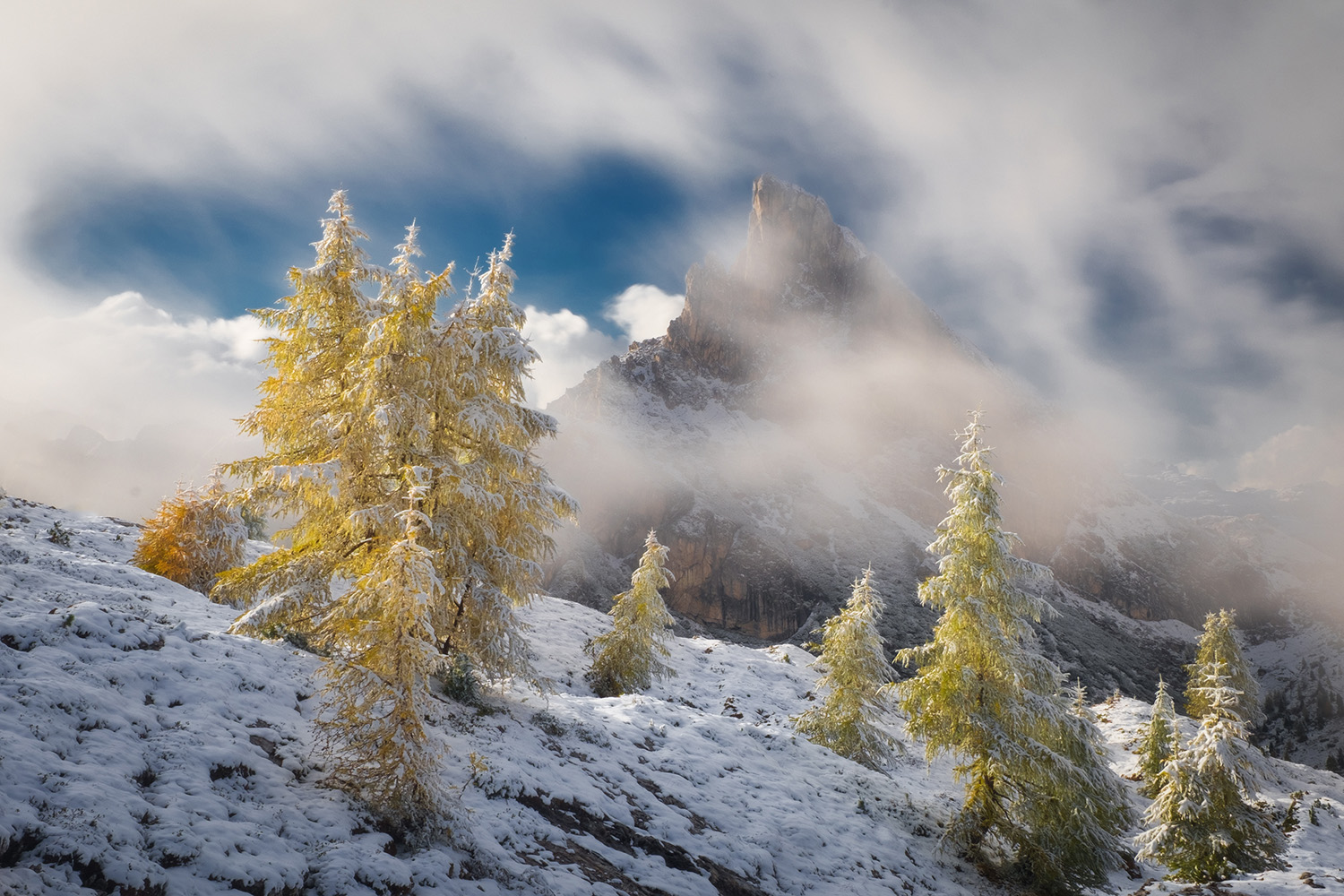 golden larches early snow fog dolomites