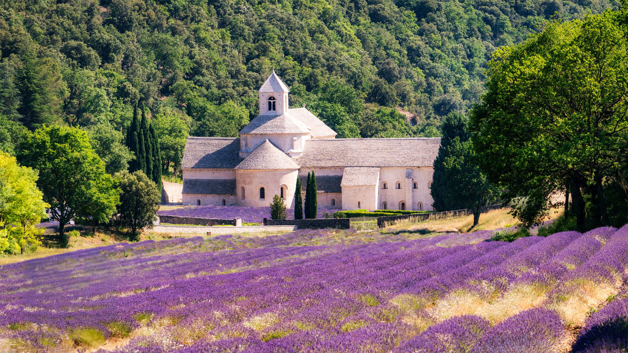 Abbey de Sénanque Abbey de Sénanque