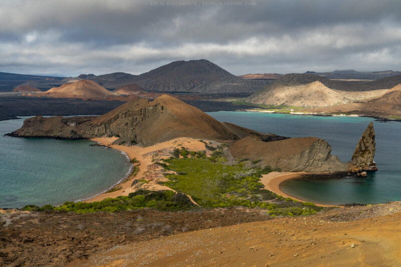 Galapagos Safari Camp Photography Safaris 2026
