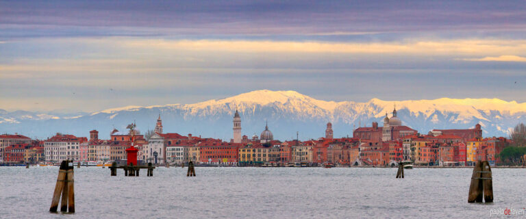 ?attachment_id=16991