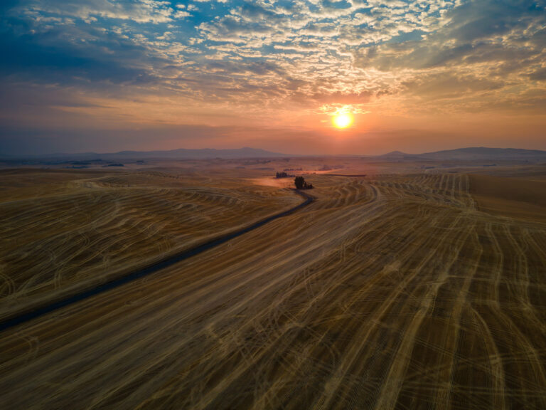 Sunrise-Stripes-Drone-1